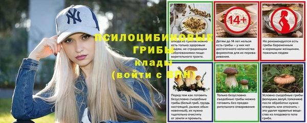 дживик Абдулино